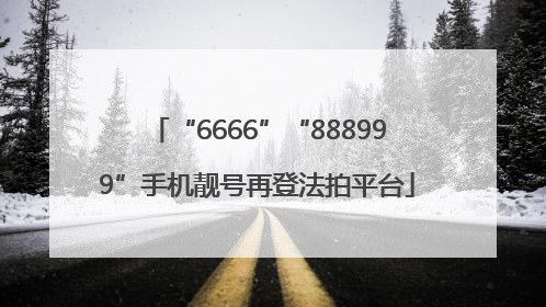 “6666”“888999”手机靓号再登法拍平台