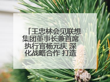 王忠林会见联想集团董事长兼首席执行官杨元庆 深化战略合作 打造世界级光电子信息产业集群