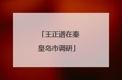 王正谱在秦皇岛市调研