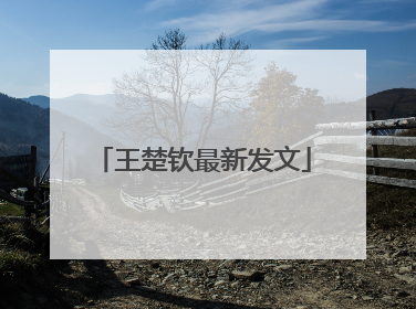 王楚钦最新发文