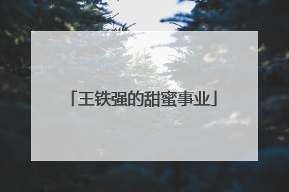 王铁强的甜蜜事业