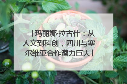 玛丽娜·拉古什：从人文到科创，四川与塞尔维亚合作潜力巨大