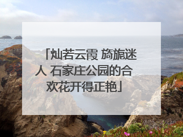 灿若云霞 旖旎迷人 石家庄公园的合欢花开得正艳