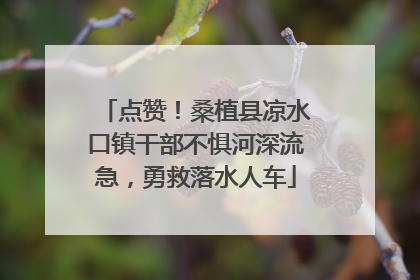 点赞！桑植县凉水口镇干部不惧河深流急，勇救落水人车