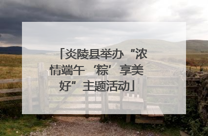 炎陵县举办“浓情端午‘粽’享美好”主题活动