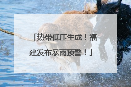 热带低压生成！福建发布暴雨预警！