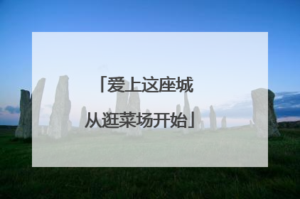 爱上这座城 从逛菜场开始