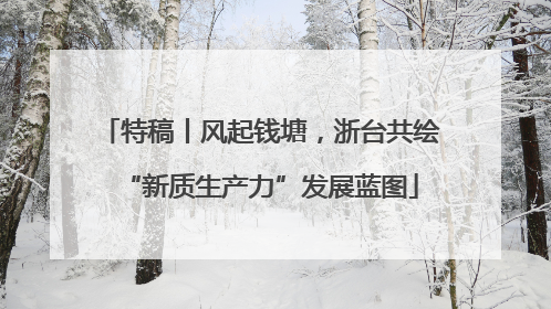 特稿丨风起钱塘，浙台共绘“新质生产力”发展蓝图