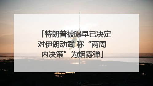 特朗普被曝早已决定对伊朗动武 称“两周内决策”为烟雾弹