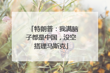 特朗普：我满脑子都是中国，没空搭理马斯克