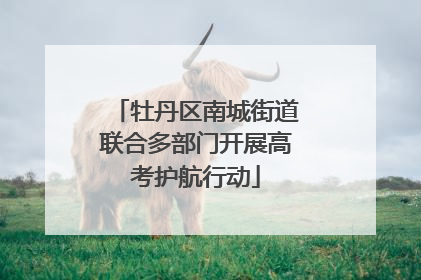 牡丹区南城街道联合多部门开展高考护航行动
