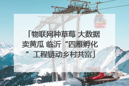 物联网种草莓 大数据卖黄瓜 临沂“四雁孵化”工程链动乡村共富