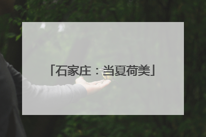 石家庄：当夏荷美