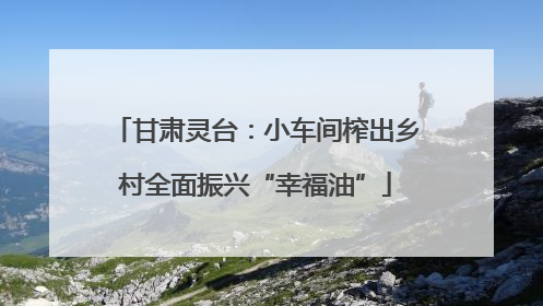 甘肃灵台：小车间榨出乡村全面振兴“幸福油”