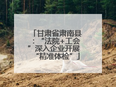 甘肃省肃南县：“法院+工会”深入企业开展“精准体检”