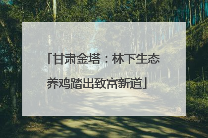 甘肃金塔：林下生态养鸡踏出致富新道
