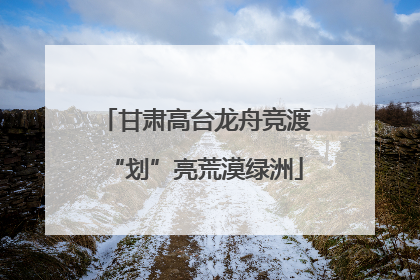 甘肃高台龙舟竞渡“划”亮荒漠绿洲
