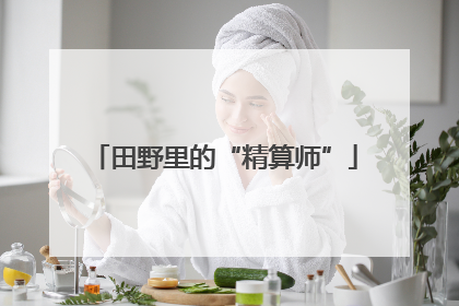田野里的“精算师”