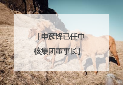 申彦锋已任中核集团董事长