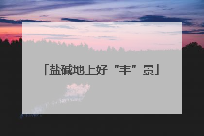 盐碱地上好“丰”景