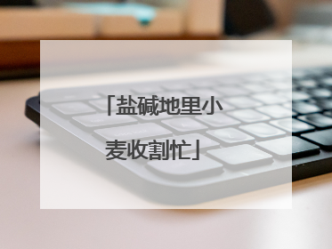 盐碱地里小麦收割忙