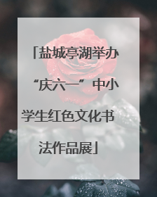 盐城亭湖举办“庆六一”中小学生红色文化书法作品展
