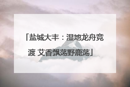 盐城大丰：湿地龙舟竞渡 艾香飘荡野鹿荡