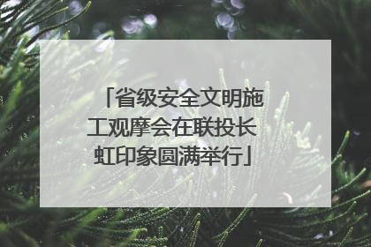 省级安全文明施工观摩会在联投长虹印象圆满举行