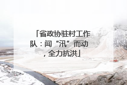 省政协驻村工作队：闻“汛”而动，全力抗洪