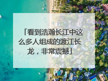 看到浩瀚长江中这么多人组成的渡江长龙，非常震撼