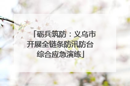砺兵筑防：义乌市开展全链条防汛防台综合应急演练