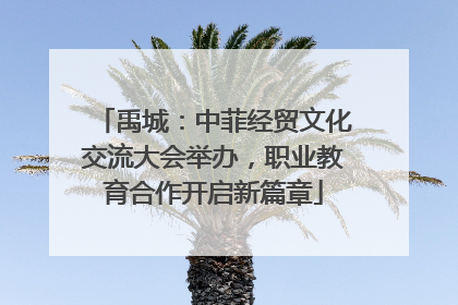 禹城：中菲经贸文化交流大会举办，职业教育合作开启新篇章