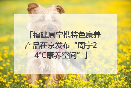 福建周宁携特色康养产品在京发布“周宁24℃康养空间”
