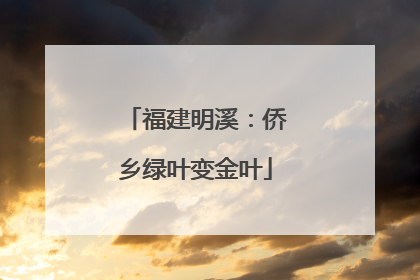 福建明溪：侨乡绿叶变金叶