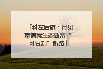 科左后旗：月见草铺就生态致富“可复制”新路