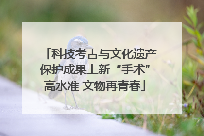 科技考古与文化遗产保护成果上新“手术”高水准 文物再青春