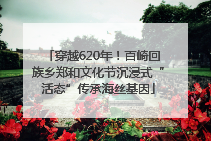 穿越620年！百崎回族乡郑和文化节沉浸式“活态”传承海丝基因