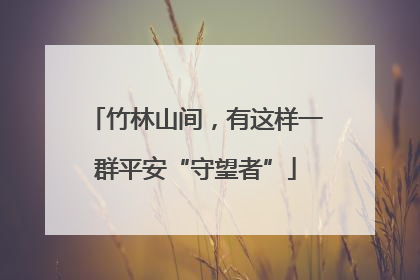 竹林山间，有这样一群平安“守望者”