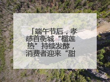 端午节后，孝感首衡城“榴莲热”持续发酵，消费者迎来“甜蜜”囤货期