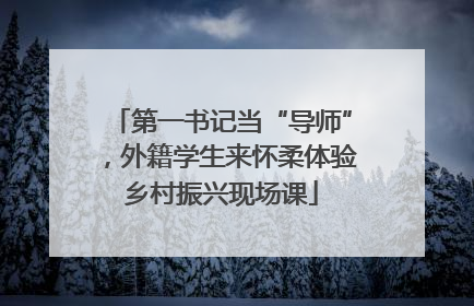 第一书记当“导师”，外籍学生来怀柔体验乡村振兴现场课