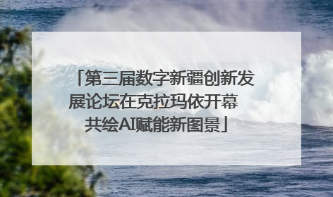 第三届数字新疆创新发展论坛在克拉玛依开幕 共绘AI赋能新图景