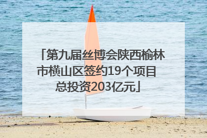 第九届丝博会陕西榆林市横山区签约19个项目 总投资203亿元