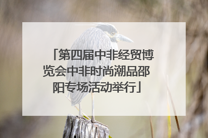 第四届中非经贸博览会中非时尚潮品邵阳专场活动举行