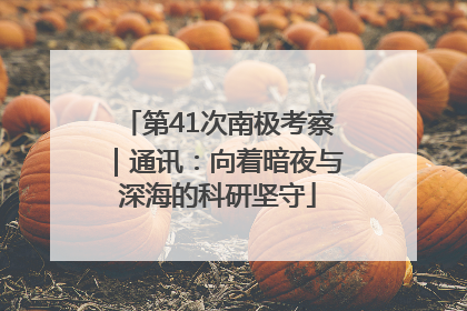 第41次南极考察｜通讯：向着暗夜与深海的科研坚守
