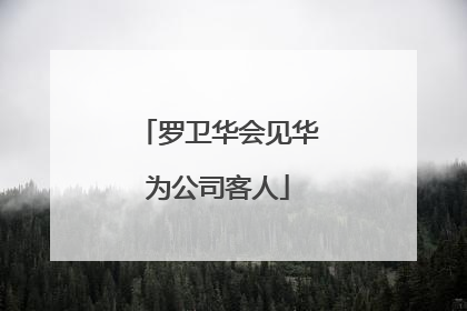 罗卫华会见华为公司客人