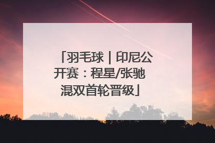 羽毛球｜印尼公开赛：程星/张驰混双首轮晋级