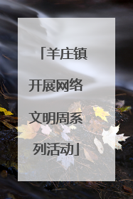 羊庄镇开展网络文明周系列活动