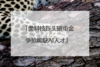 美科技巨头砸重金争抢稀缺AI人才