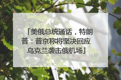 美俄总统通话，特朗普：普京称将坚决回应乌克兰袭击俄机场