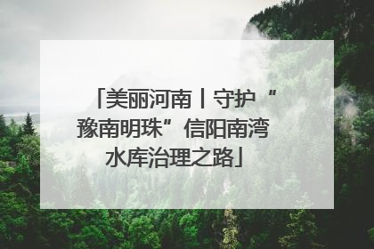 美丽河南丨守护“豫南明珠”信阳南湾水库治理之路
